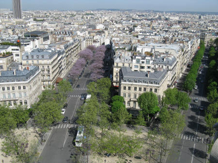 Paris in the Spring